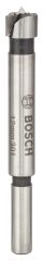 Bosch - Menteşe Açma Ucu 12 mm
