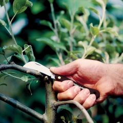 Fiskars Kancalı Aşı Bıçağı K62 125880