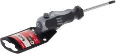 Kwb Pozidiriv Tornavida PZ1X80 mm 49663201