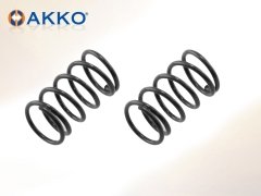 Akko Aky-01 Baskı Papuç Yayı