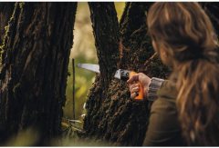 Fiskars 123840-1001620 Sabit Bıçaklı Testere SW84 (Kılıflı)