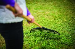 Fiskars Solid Ahşap Saplı Yaprak Süpürgesi Xl (1001584)