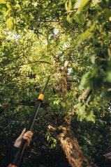 Fiskars 115012 Upx86 Powergear Teleskopik Yüksek Dal Kesme