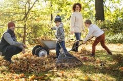 Fiskars 135090-1015645 Solid Yaprak Tırmığı XL