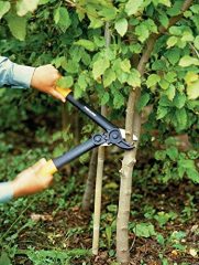 Fiskars 112170 Powergear Anvil Dal Kesme Makası