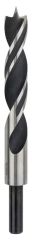 Bosch - Ahşap Matkap Ucu 16*160 mm