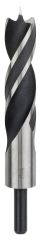 Bosch - Ahşap Matkap Ucu 30*220 mm