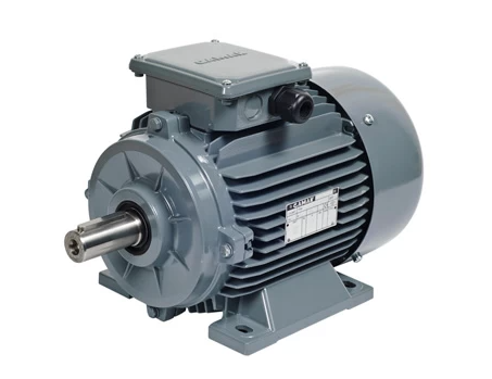 2.2 KW 1500 AGM2E 100 L 4a