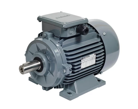3 KW 3000 AGM3EL 100 L 2a