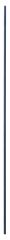 Bosch - Ekstra Uzun Kılavuz Çubuk 8*800 mm