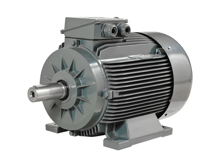 11 KW 1000 GM3E 160_L6 B3
