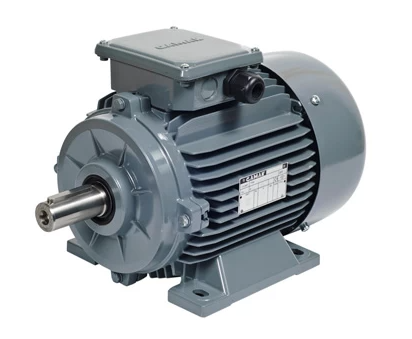 5.5 KW 1000 AGM2E 132_M6B B3