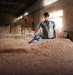 Bosch Gbl 800E Ce Üfleme Makinası